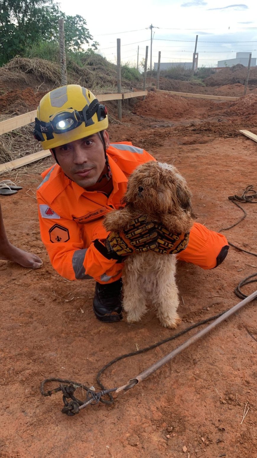 Cachorro é resgatado de buraco de obra de cerca de 8m de profundidade em Lagoa da Prata