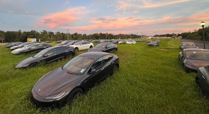 Por que há centenas de Teslas abandonados em um terreno baldio nos EUA? Entenda o mistério