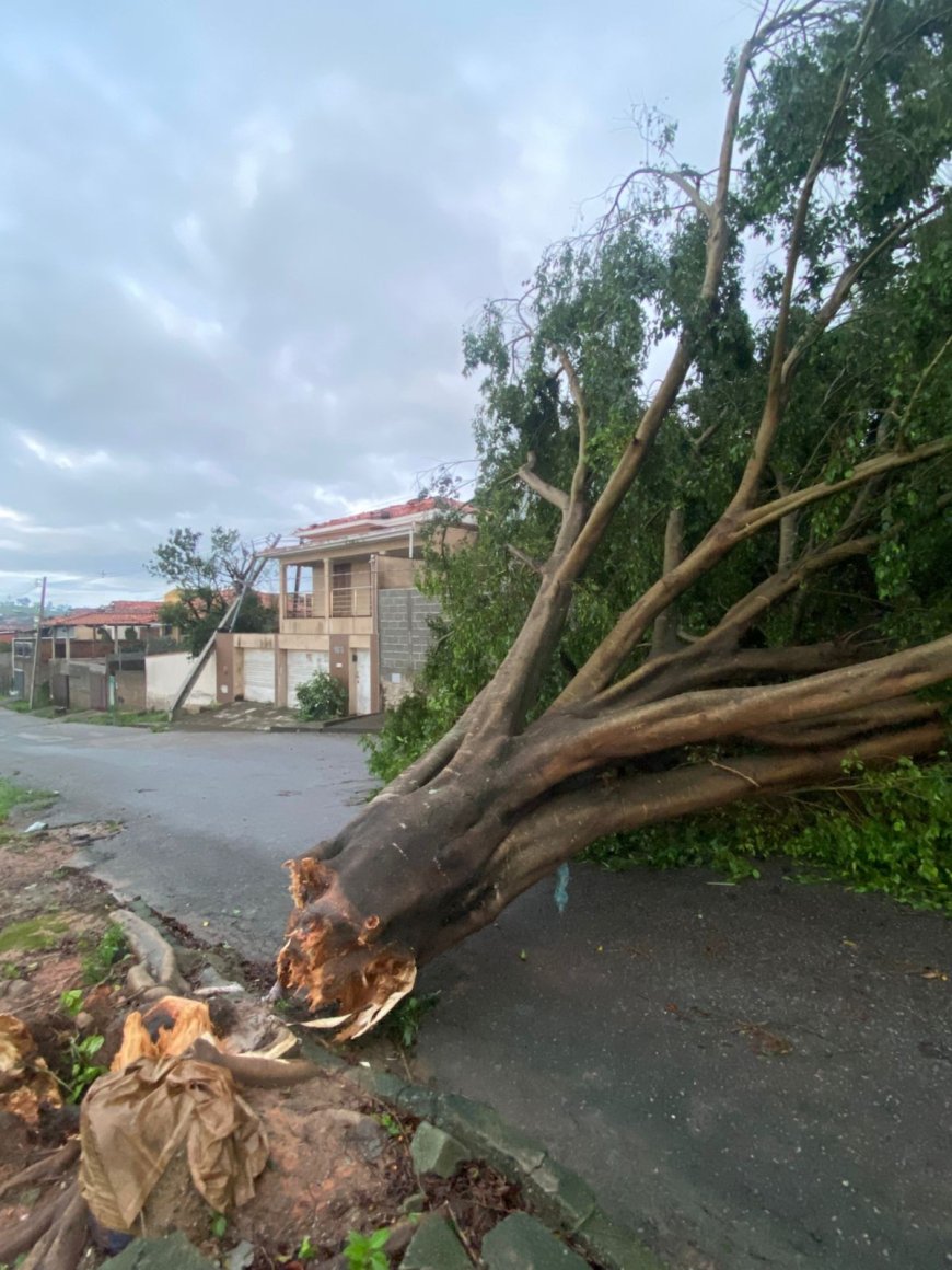 Chuva forte danifica a rede elétrica e interrompe fornecimento de energia em Carmo da Mata