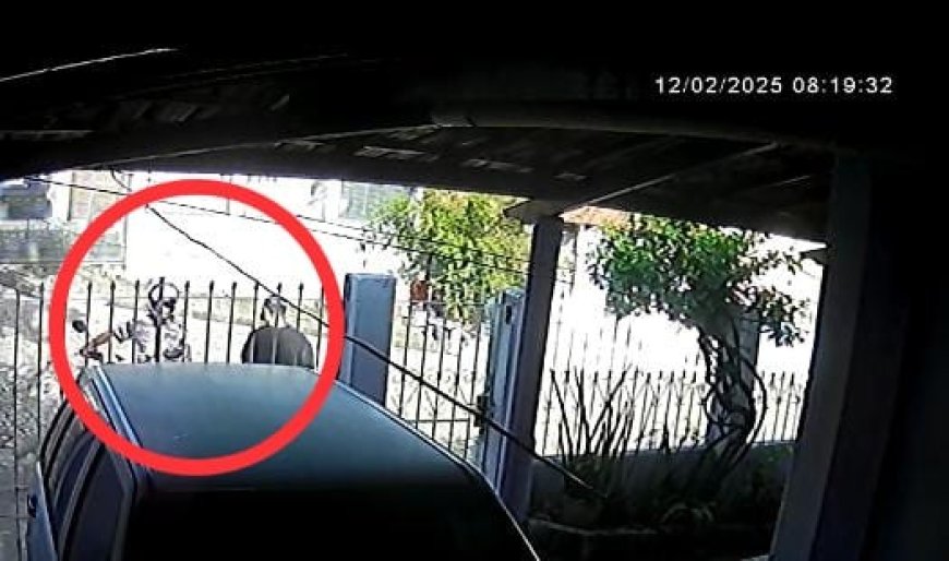 VÍDEO: câmera flagra ladrões furtando moto em frente a uma casa em Divinópolis